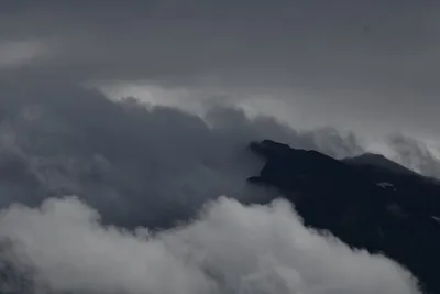 DSC_6270 (Large).JPG